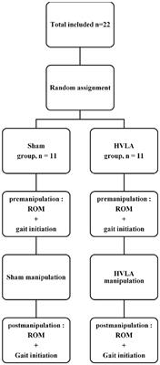 Short-Term Effects of Thoracic Spine Manipulation on the Biomechanical Organisation of Gait Initiation: A Randomized Pilot Study